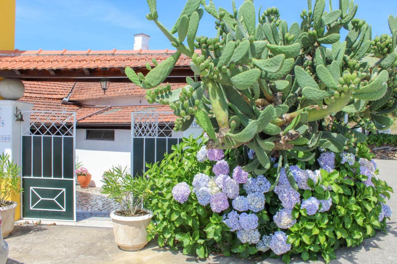 Quinta De Vale Escuro Ξενοδοχείο Lousã Εξωτερικό φωτογραφία